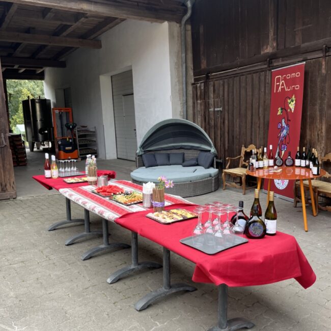 Ein schön angerichteter Tisch im Hof des Weinguts mit einer Auswahl köstlicher Snacks und erlesener Weine, die während der Verköstigung probiert wurden.