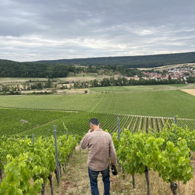 Groß (IMG_7046)