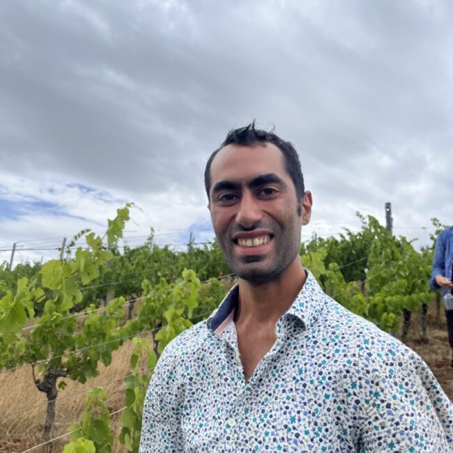 Garnik Harunyan, der talentierte Winzer, umgeben von seinen prächtigen Weinreben, die seinen Weg vom Winzerausbildung in Würzburg bis zur Gründung seines eigenen Weinguts Aroma Aura zeigen.