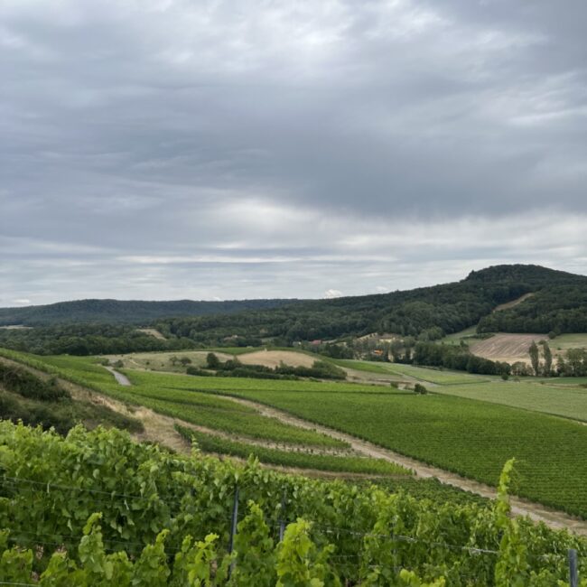 Groß (IMG_7049)